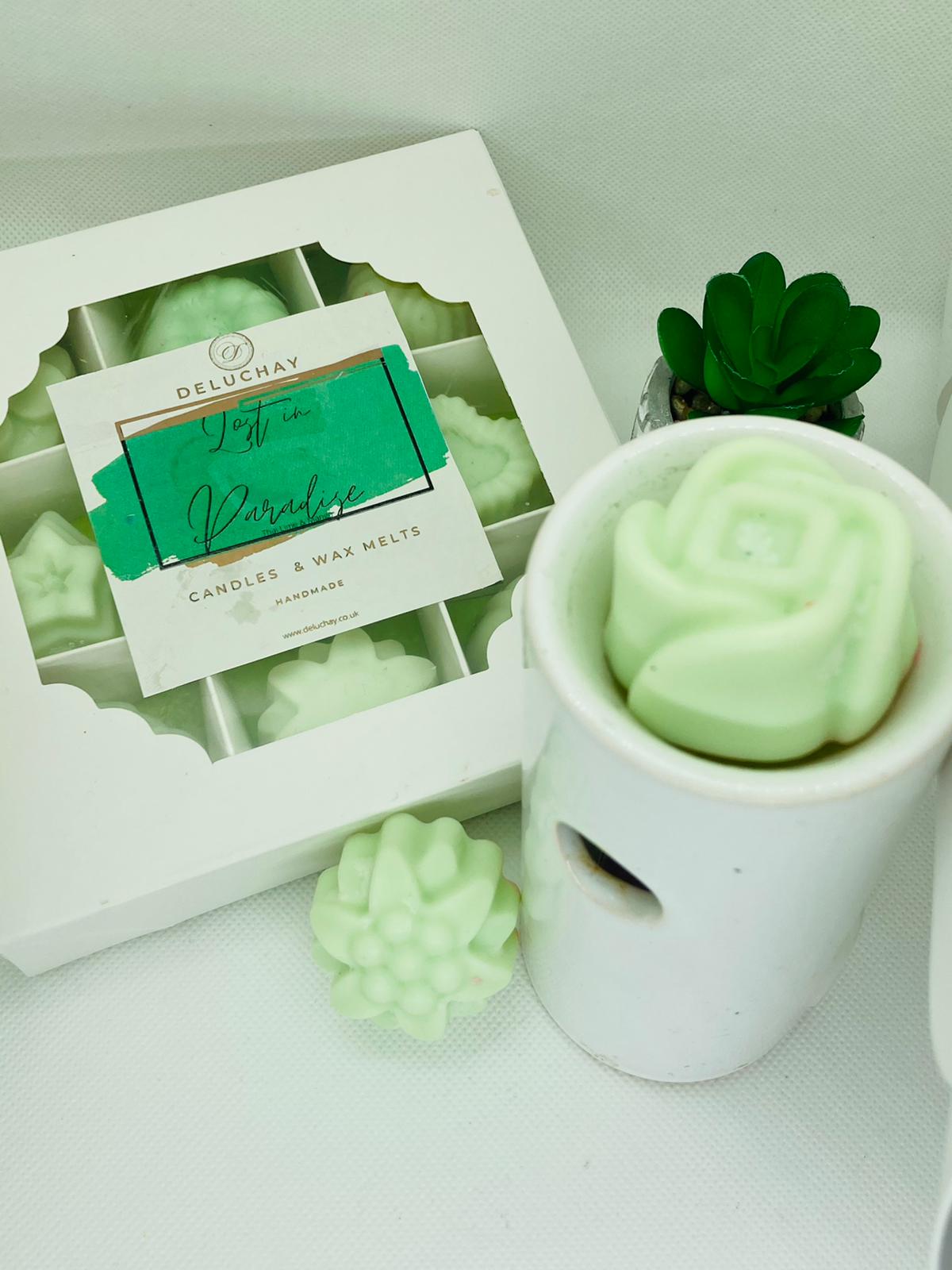 Deluxe 9-Piece Scented Wax Melt Set